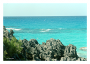 Bermuda