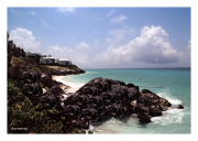 Along Bermuda's Coast