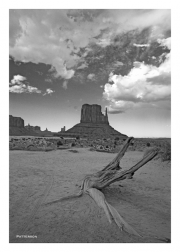 Driftwood & Mitten in Monument Valley