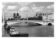 Left Bank