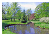 Niagara Parks