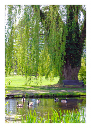 Niagara Parks