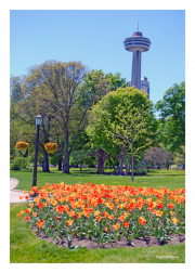 Skylon Tower