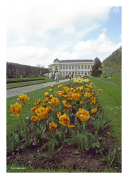 Belvedere Palace and Garden