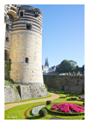 Chateau de Angers Tower & Moat