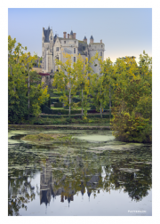 Château de Montreuil-Bellay