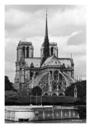 Notre Dame