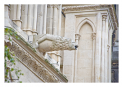 Stone Gargoyle Rain Spout