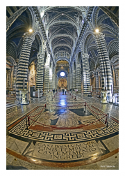 Cathedral of St. Mary of the Assumption
