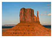 The Mitten