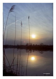 Heinz Wildlife Refuge at Tinicum