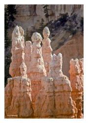 Bryce Canyon rock pillars