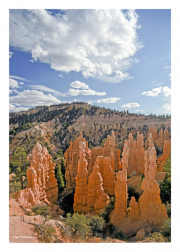 Bryce Canyon