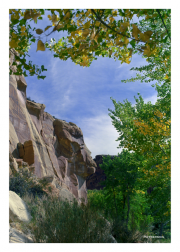 Capitol Reef National Park