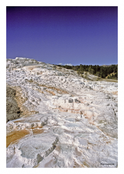 Mammoth Hot Springs