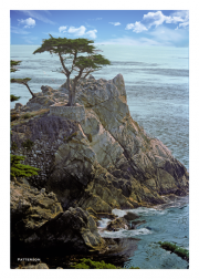 Lone Cypress