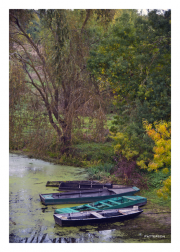 Along the banks of the Thouet River