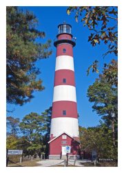Assateague Light