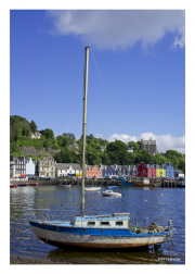 Tobermoray Bay with Boat - Isle of Mull
