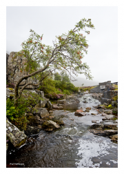 In the Scottish Highlands