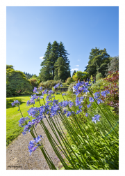 Gardens at Armadale Castle