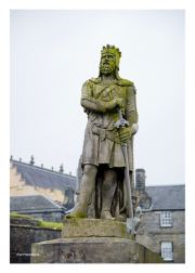 Robert the Bruce