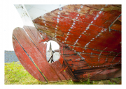 Old Boat Keel