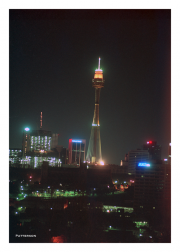 Sydney Tower Eye at Night