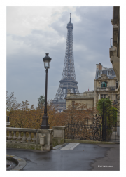Eiffel Tower from Trocadero
