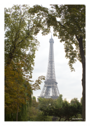 Eiffel Tower from Jardins du Trocadéro