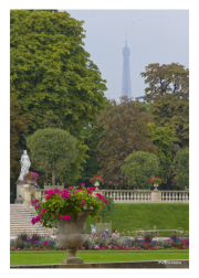 Luxembourg Gardens with Eiffel Tower