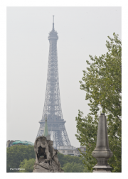 Eiffel Tower and Lion