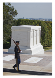 Lone Sentinal