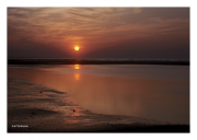 Morris Island Sunrise