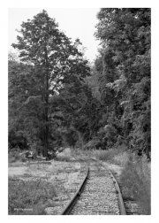 Tracks 2