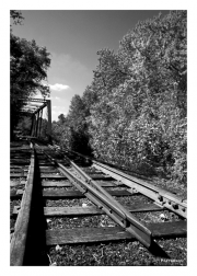 Tracks