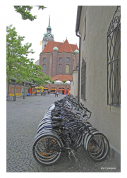 Mass Transportation