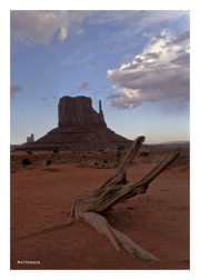 Driftwood & Mitten in Monument Valley