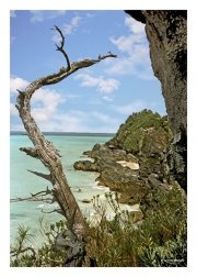 Bermuda Shoreline