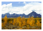 Grand Teton