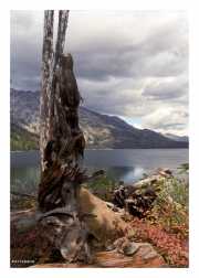 Jackson Lake in Grand Teton