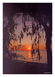 Heron Island Sunset