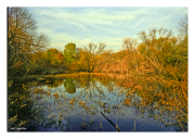 Fall at Heinz Wildlife Refuge