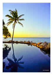 Palm Reflection