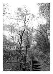 Abandoned Tracks