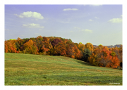 Fall at Valley Forge