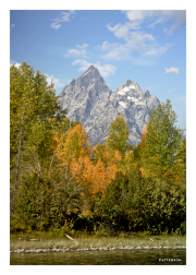 Autumn at Grand Teton
