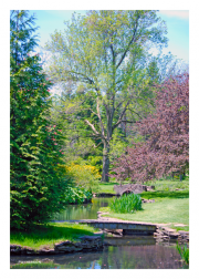 Niagara Parks