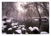 Stream in the Snow
