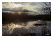 Heinz Wildlife Refuge at Tinicum